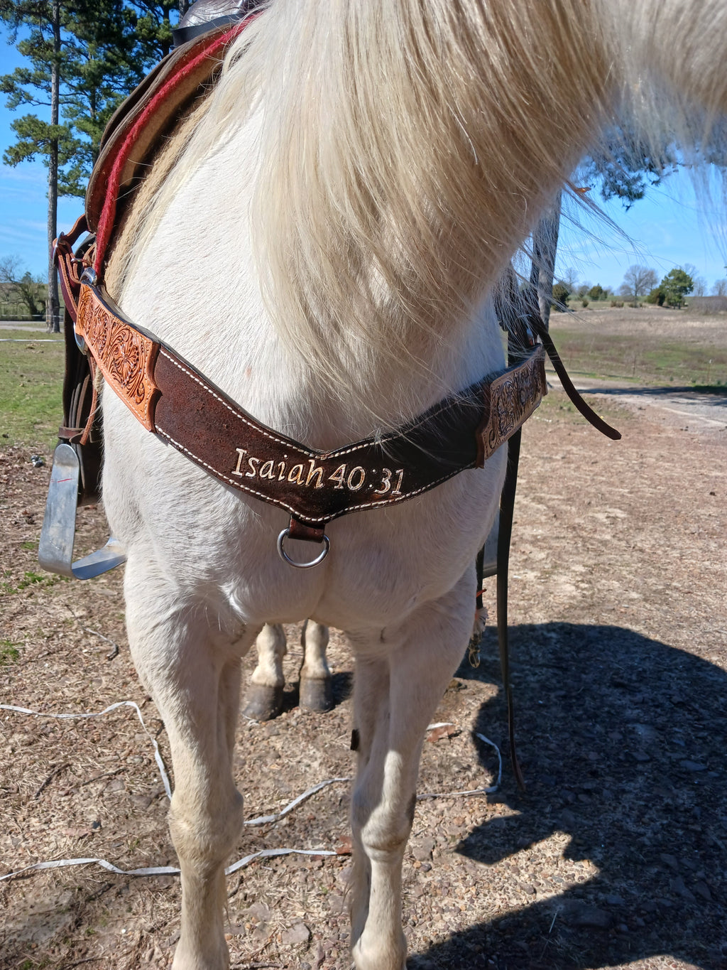 Custom Tack