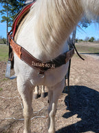 Custom Tack